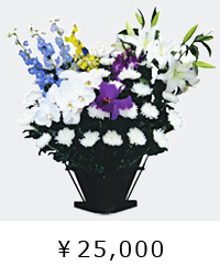 日本の伝統美　白菊